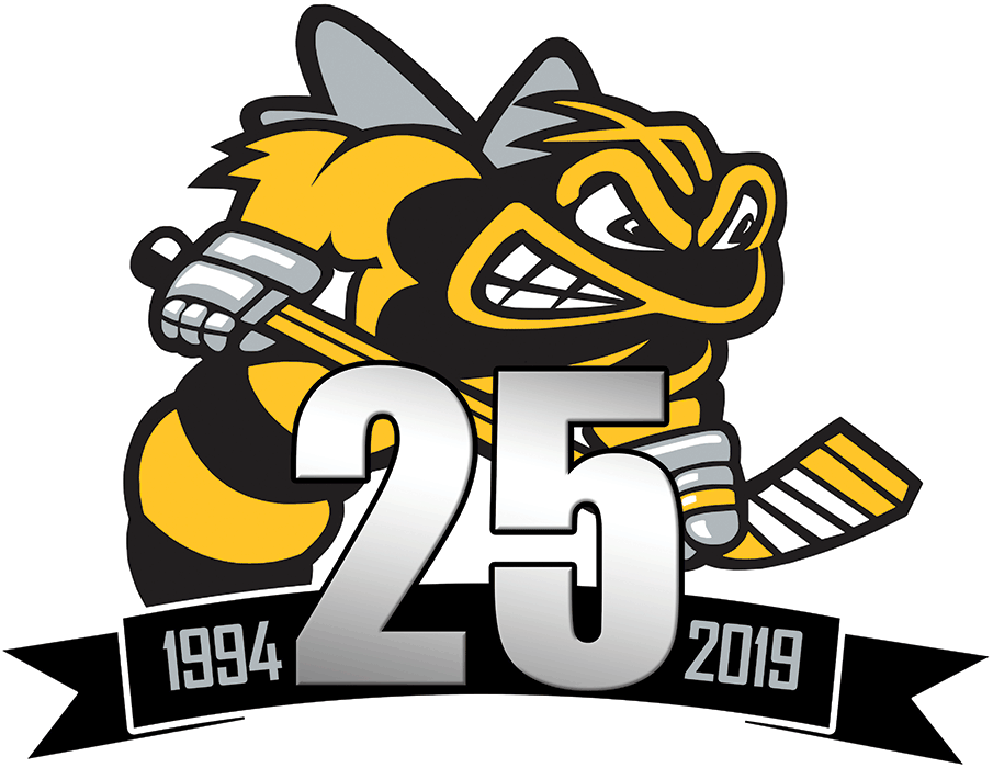 Sarnia Sting 2019 Anniversary Logo iron on heat transfer